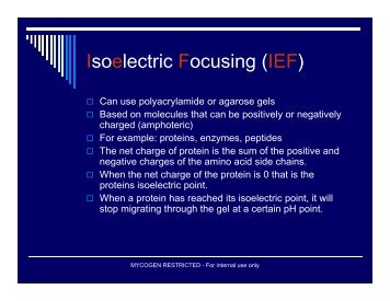 Isoelectric Focusing (IEF)