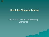 Herbicide Bioassay Testing