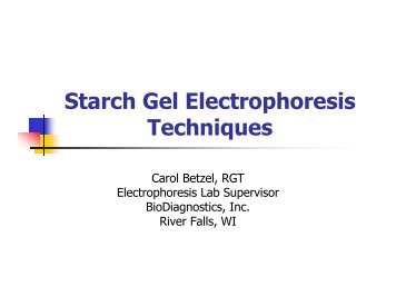 Starch Gel Electrophoresis Techniques