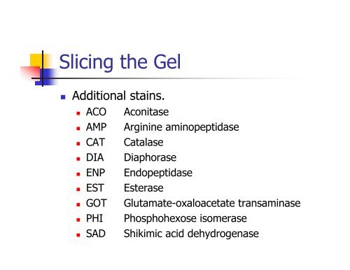 Starch Gel Electrophoresis Techniques