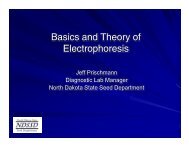 Basics and Theory of Electrophoresis