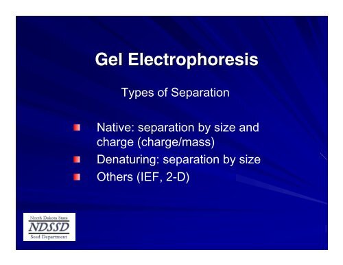 Basics and Theory of Electrophoresis