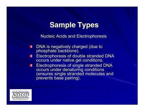 Basics and Theory of Electrophoresis