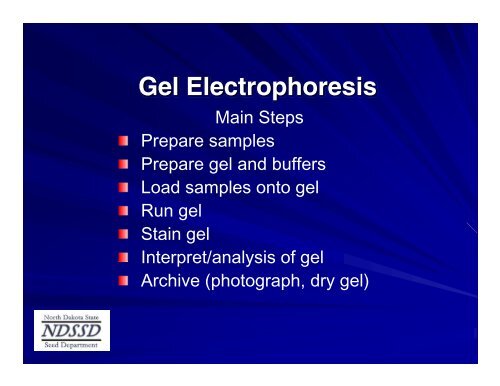 Basics and Theory of Electrophoresis