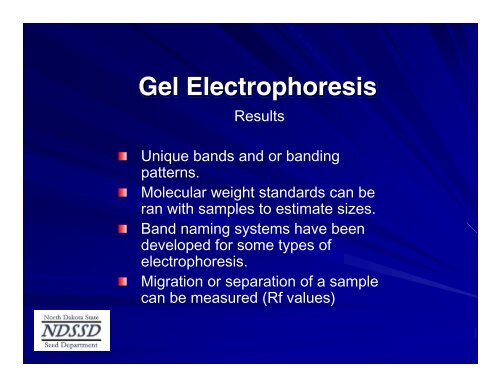 Basics and Theory of Electrophoresis