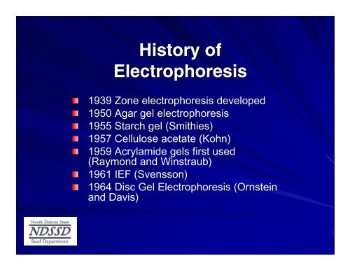 Basics and Theory of Electrophoresis