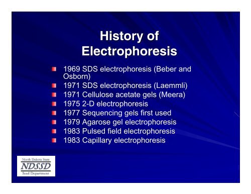 Basics and Theory of Electrophoresis