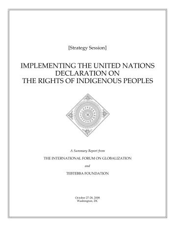 UNDRIP Report - English FINAL - International Forum on Globalization