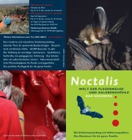 Noctalis Kombiflyer.pdf - Segeberg.info