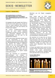 2012_12-Newsletter Nr. 4 - SEKIS