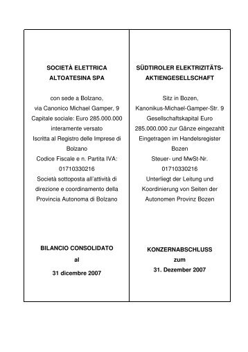 2008 06 11 SEL Bilanz Konzern 20073 - SEL AG