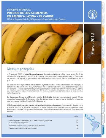 Informe mensual Precio de los alimentos en AmÃ©rica Latina y el ...