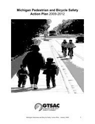 Michigan Pedestrian and Bicycle Safety Action Plan 2009 ... - semcog