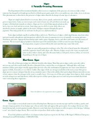 Algae: A Naturally-Occurring Phenomena Blue-Green ... - Semcog