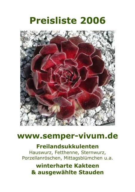 Sedum dasyphyllum Trockenmauer Teppichsedum