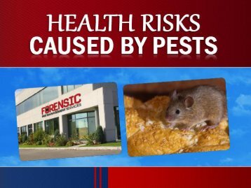 Health Risks Caused by Pests – Opt for Pest Control