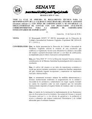 Reglamento TÃ©cnico para requisitos de calidad e ... - senave