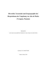 Diversität, Taxonomie und Zoogeographie der ... - Senckenberg