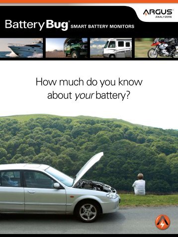 How much do you know about your battery?