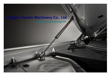 Ningbo Yeswin Machinery Co., Ltd. - Automotive Gas Springs list