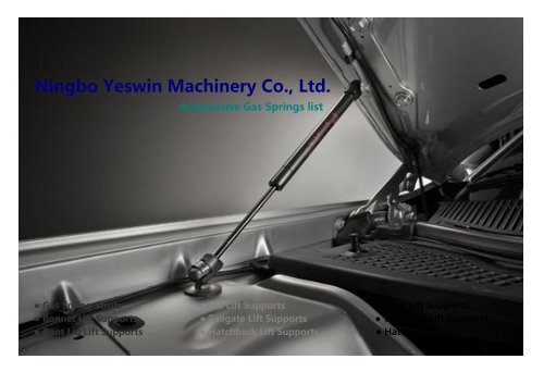 Ningbo Yeswin Machinery Co., Ltd. - Automotive Gas Springs list