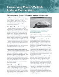 Conserving Maine's Wildlife Habitat Connections - Maine Audubon