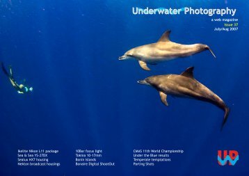 Underwater Photography - SENSACIONES.org