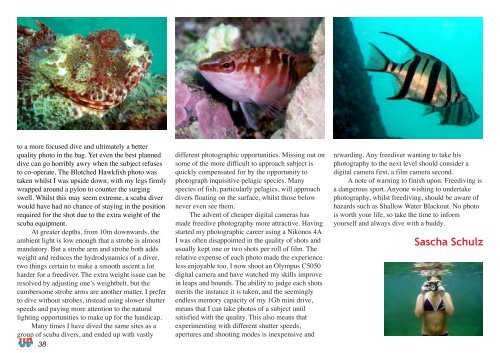 Underwater Photography - SENSACIONES.org