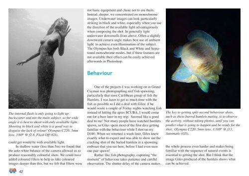 Underwater Photography - SENSACIONES.org