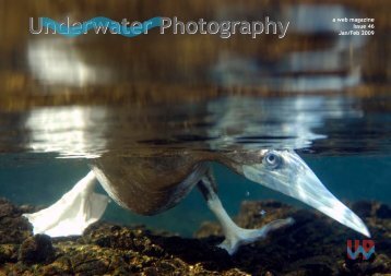 Underwater Photography - SENSACIONES.org