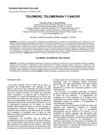 TELOMERO, TELOMERASA Y CANCER - sepeap