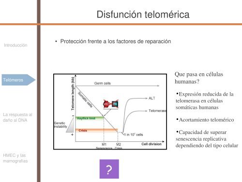 Radiosensibilidad y edad - SEPR