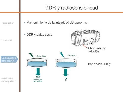 Radiosensibilidad y edad - SEPR