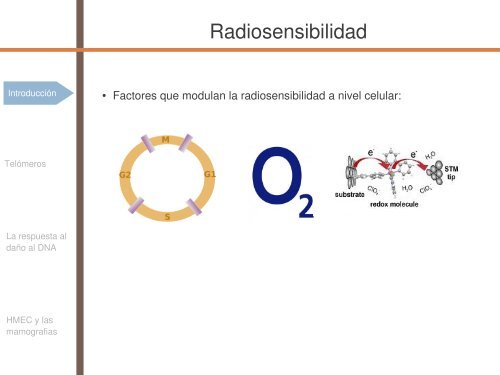 Radiosensibilidad y edad - SEPR