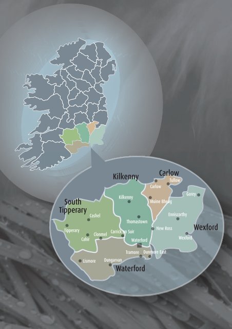 Bioenergy Implementation Plan - South-East Regional Authority