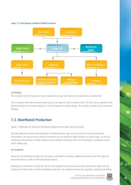 Bioenergy Implementation Plan - South-East Regional Authority