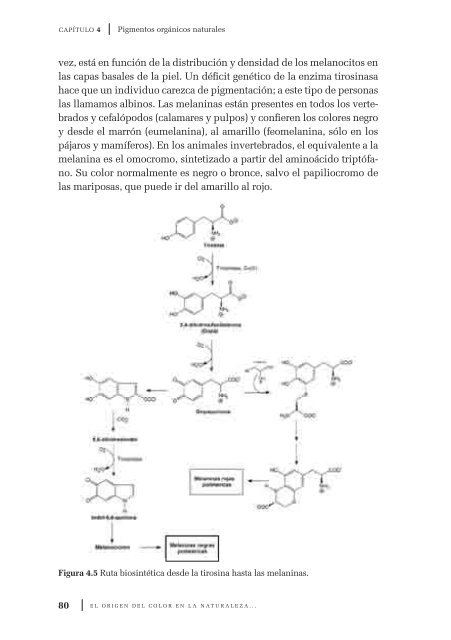 El origen del color en la naturaleza. Una introducción a la química ...