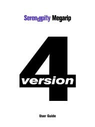 Version 4.1 - Serendipity Software