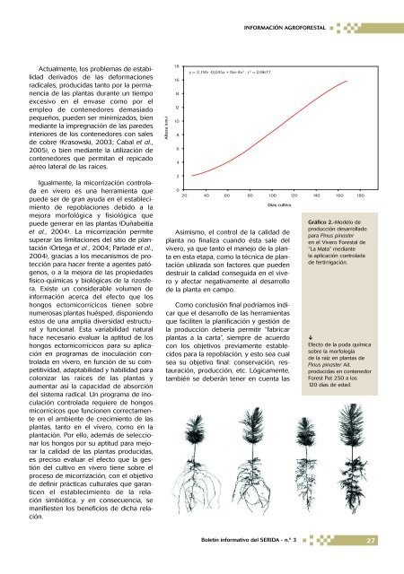 REVISTA NÂ¼ 3 DEF - RIA