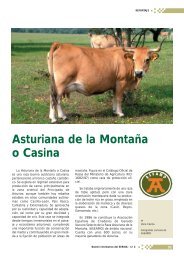asturiana de la montana.pdf
