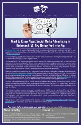 Want to Know About Social Media Advertising in Richmond, VA, Try Opting for Little Big