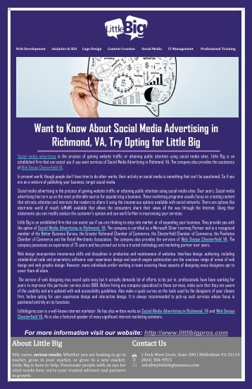 Want to Know About Social Media Advertising in Richmond, VA, Try Opting for Little Big