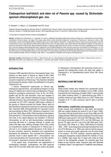 Cladosporium leaf-blotch and stem rot of Paeonia spp. caused ... - Cbs