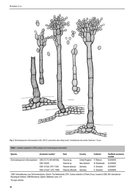 Cladosporium leaf-blotch and stem rot of Paeonia spp. caused ... - Cbs
