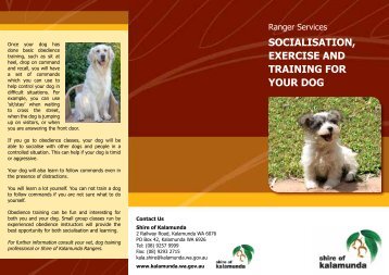 socialisation, exercise and training for your dog - Shire of Kalamunda