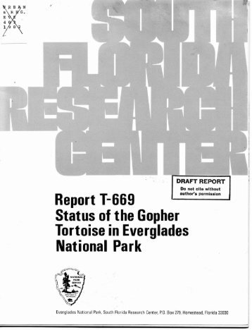 Status of the Gopher Tortoise in Everglades National Park