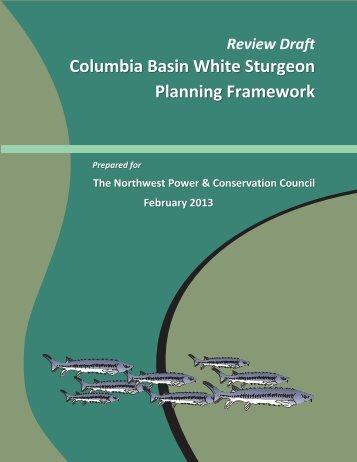 Columbia Basin White Sturgeon Planning Framework - Northwest ...