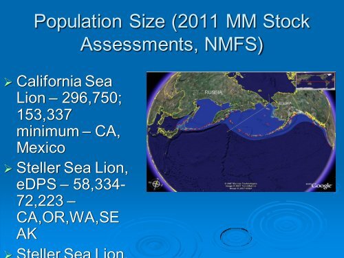 Ecological Role of Sea Lions as Predators, Competitors, and Prey