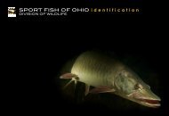 SPORT FISH OF OHIO identification