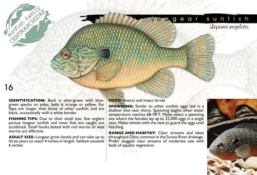 SPORT FISH OF OHIO identification